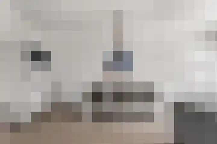 Bakkerspleintje 59 Castricum thumbnail 21
