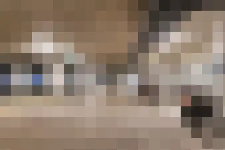 Bakkerspleintje 59 Castricum thumbnail 36