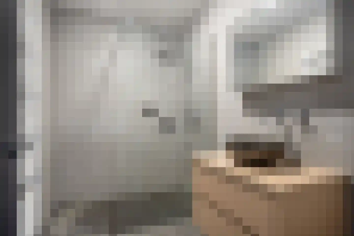 Bakkerspleintje 7 Castricum thumbnail 15