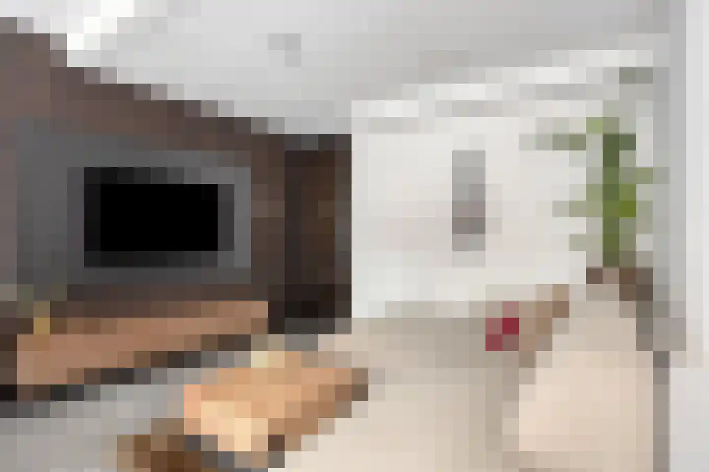 Bakkerspleintje 7 Castricum thumbnail 4