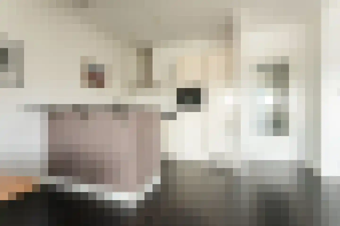 Bakkerspleintje 72 Castricum thumbnail 12