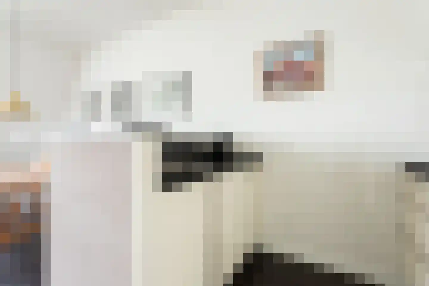 Bakkerspleintje 72 Castricum thumbnail 14