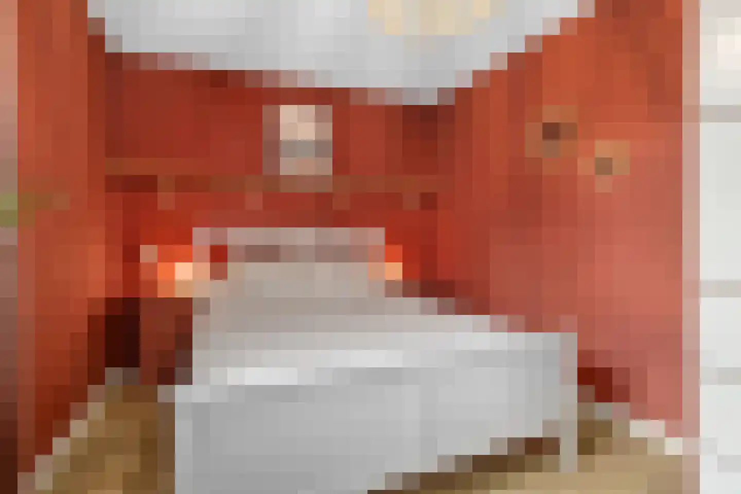 Bakkerspleintje 8 Castricum thumbnail 18