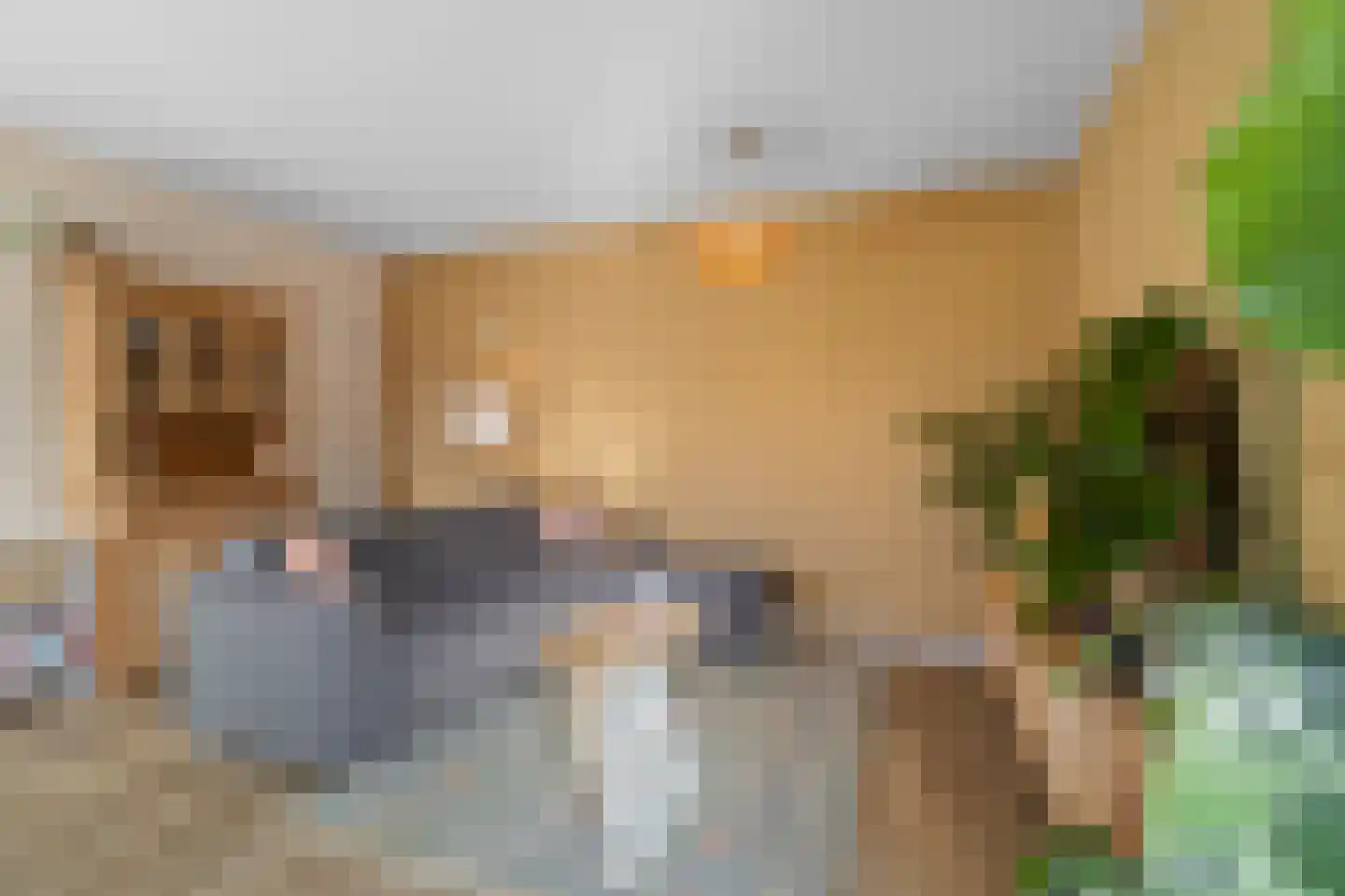 Bakkerspleintje 8 Castricum thumbnail 9