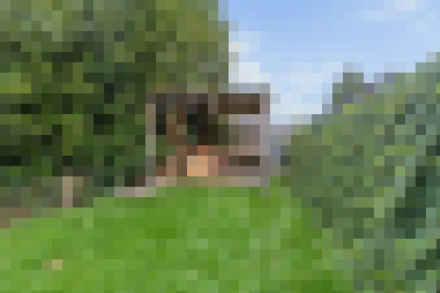 Bakkersstraat 10 Tiel thumbnail 26