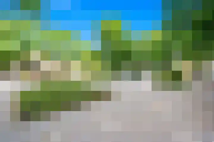 Bakkersstraat 299 Den Haag thumbnail 32