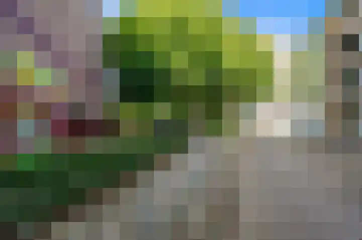 Bakkersstraat 299 Den Haag thumbnail 35