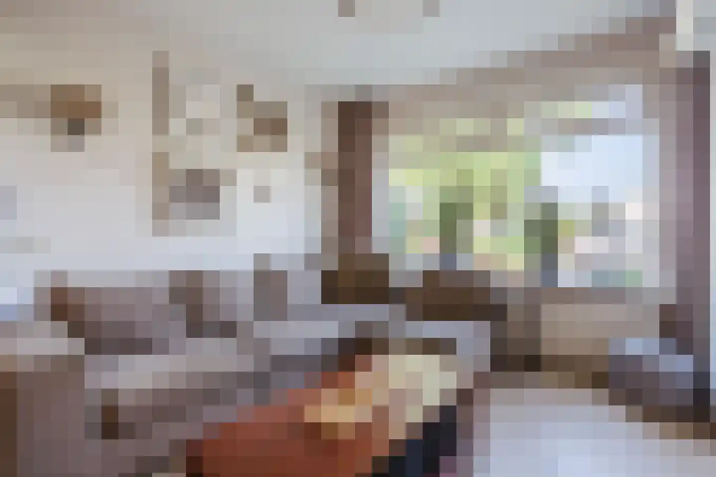 Bakkersstraat 39 Westknollendam thumbnail 10
