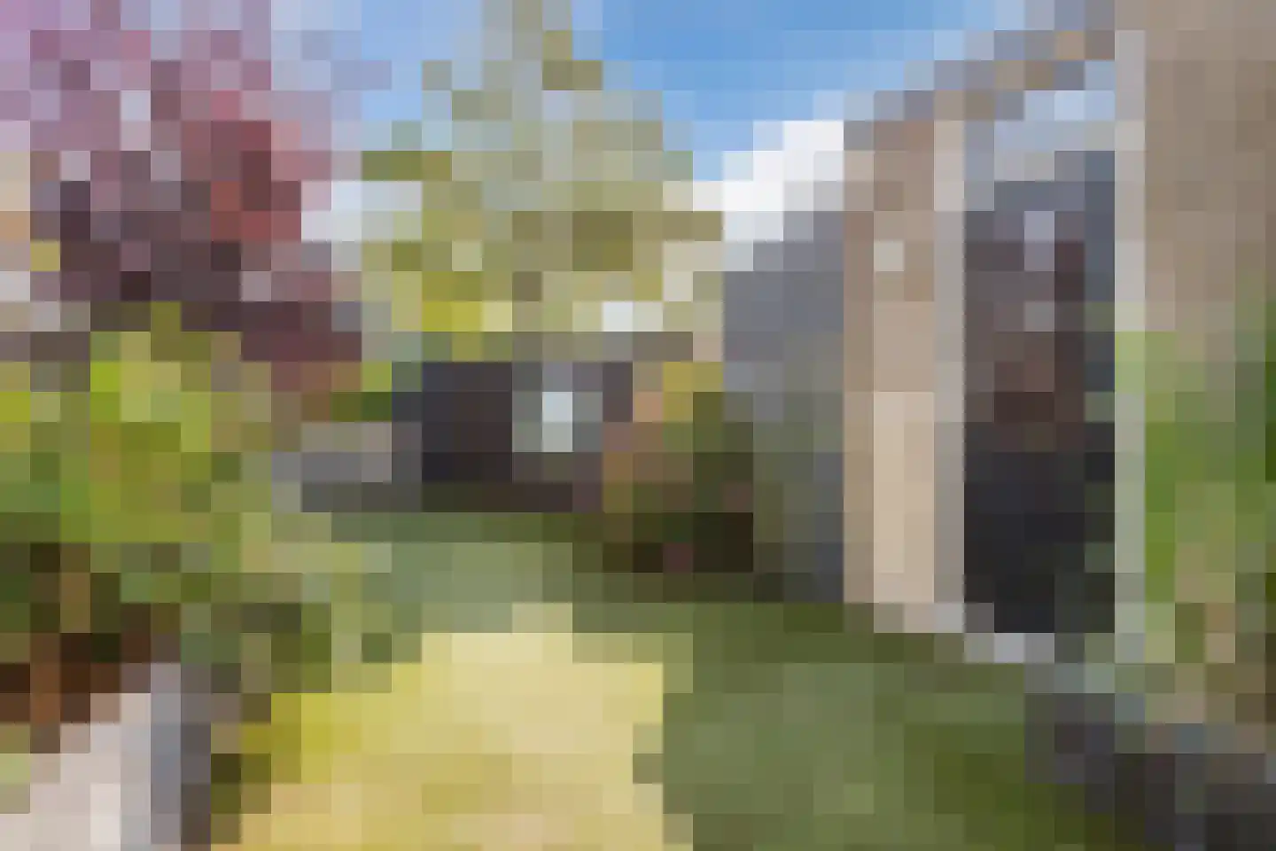 Bakkersstraat 39 Westknollendam thumbnail 38