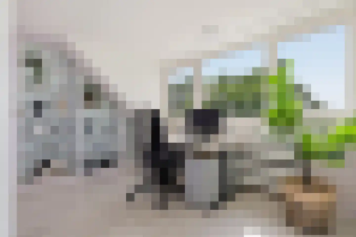 Bakkersstraat 39 Westknollendam thumbnail 38