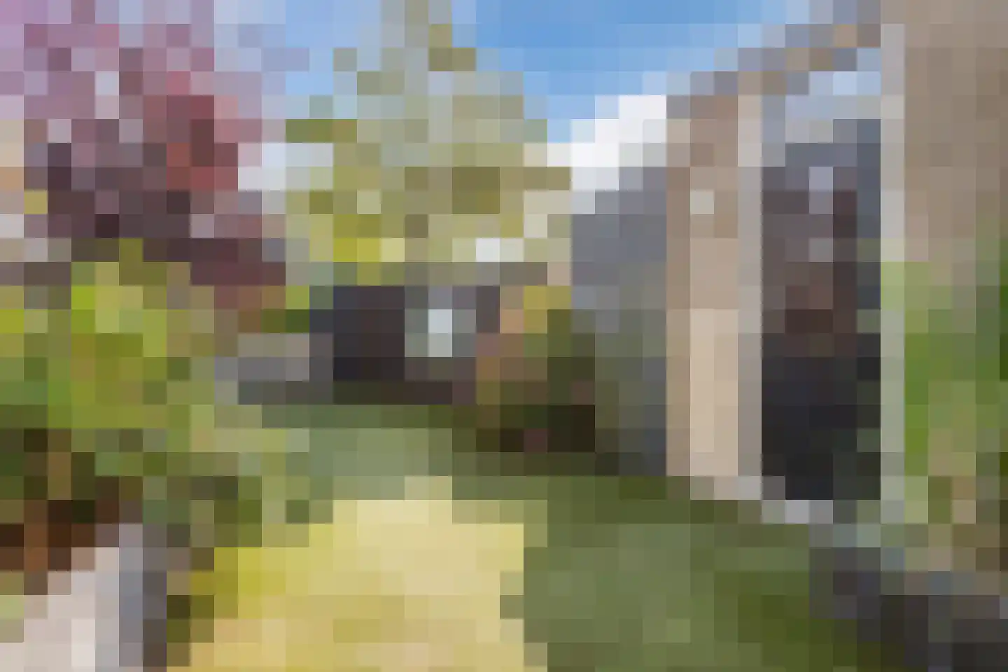 Bakkersstraat 39 Westknollendam thumbnail 38