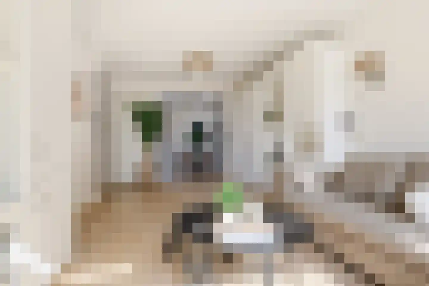 Bakkersstraat 39 Westknollendam thumbnail 6
