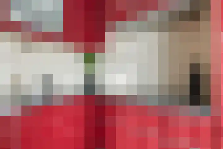 Bakkersstraat 4 Veendam thumbnail 15