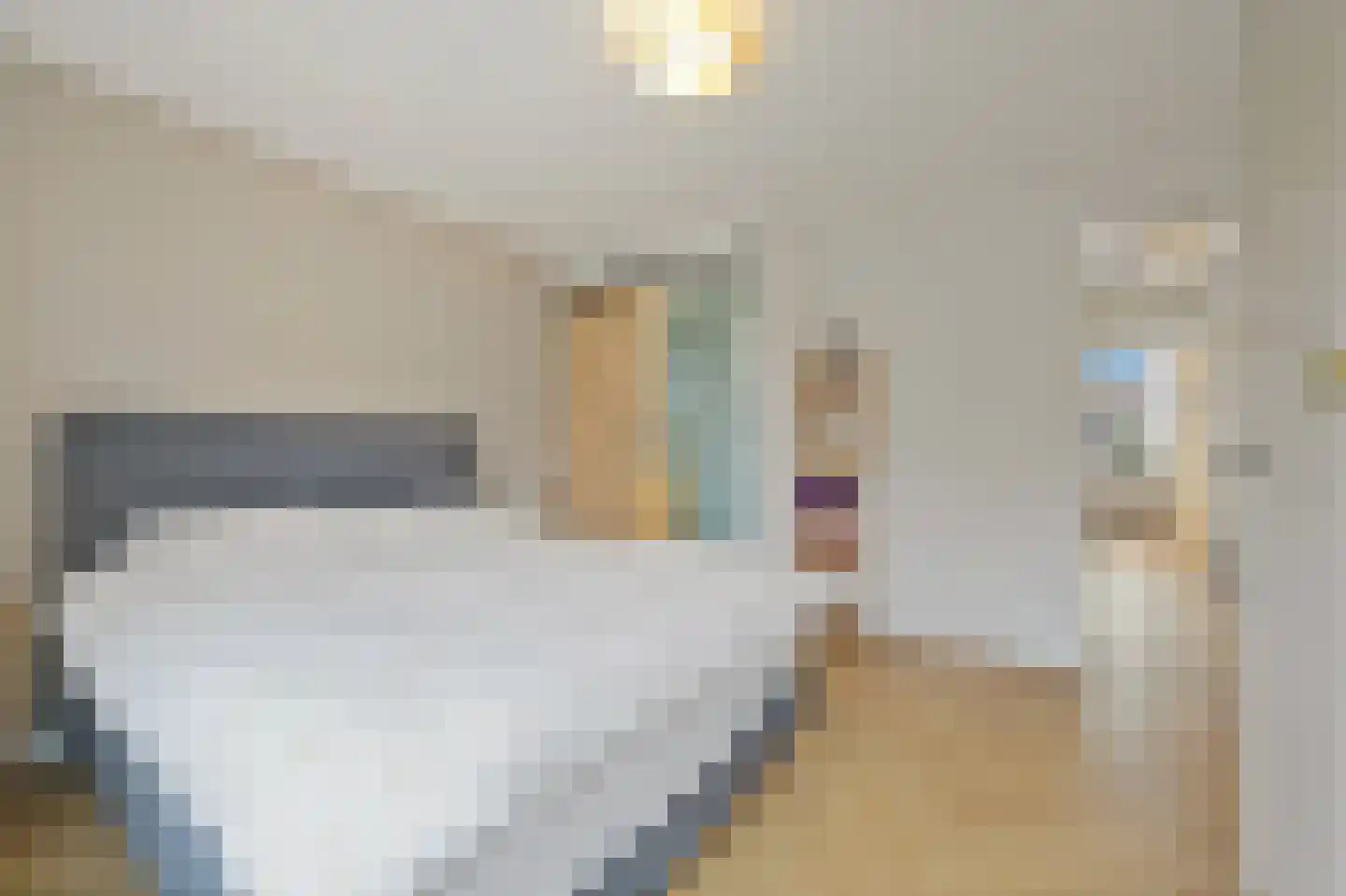 Bakkersstraat 52 Den Haag thumbnail 10
