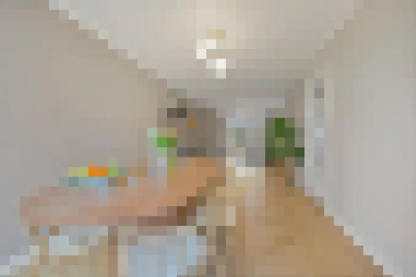 Bakkersstraat 52 Den Haag thumbnail 15