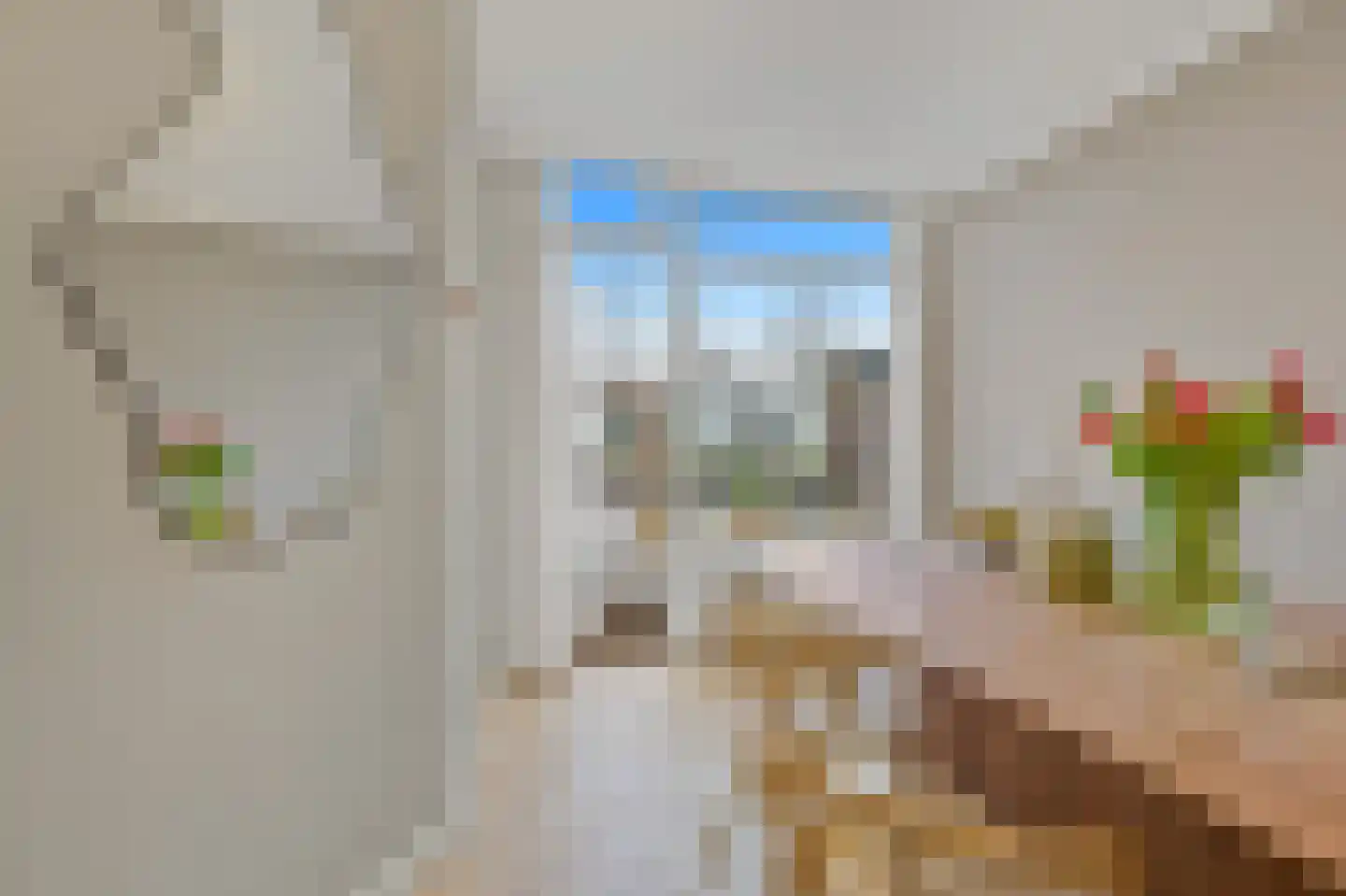 Bakkersstraat 52 Den Haag thumbnail 17