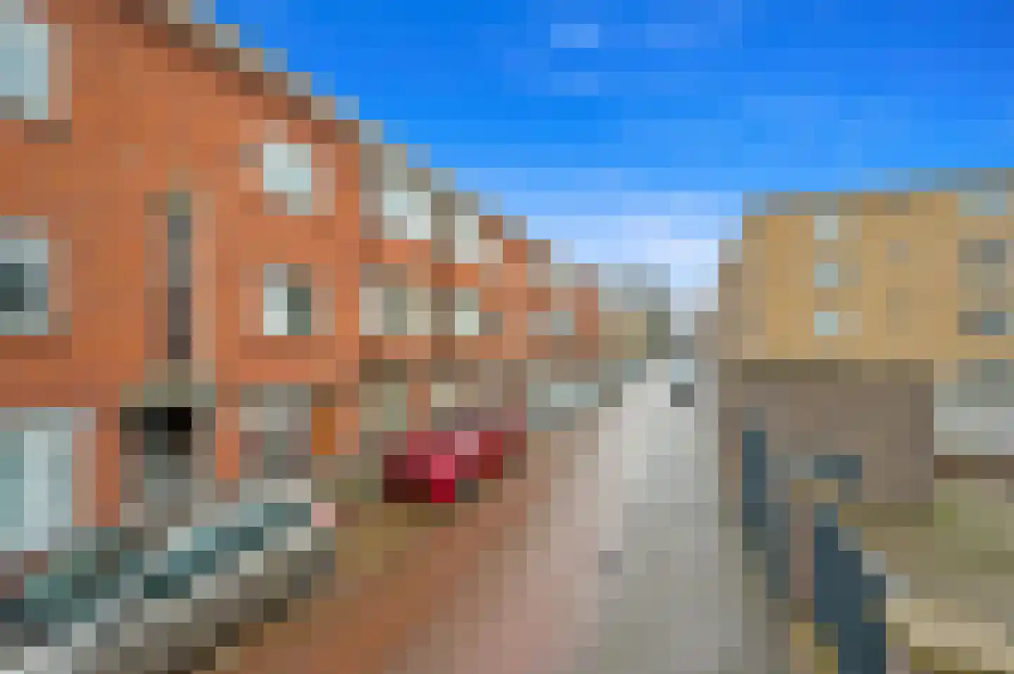 Bakkersstraat 52 Den Haag thumbnail 29