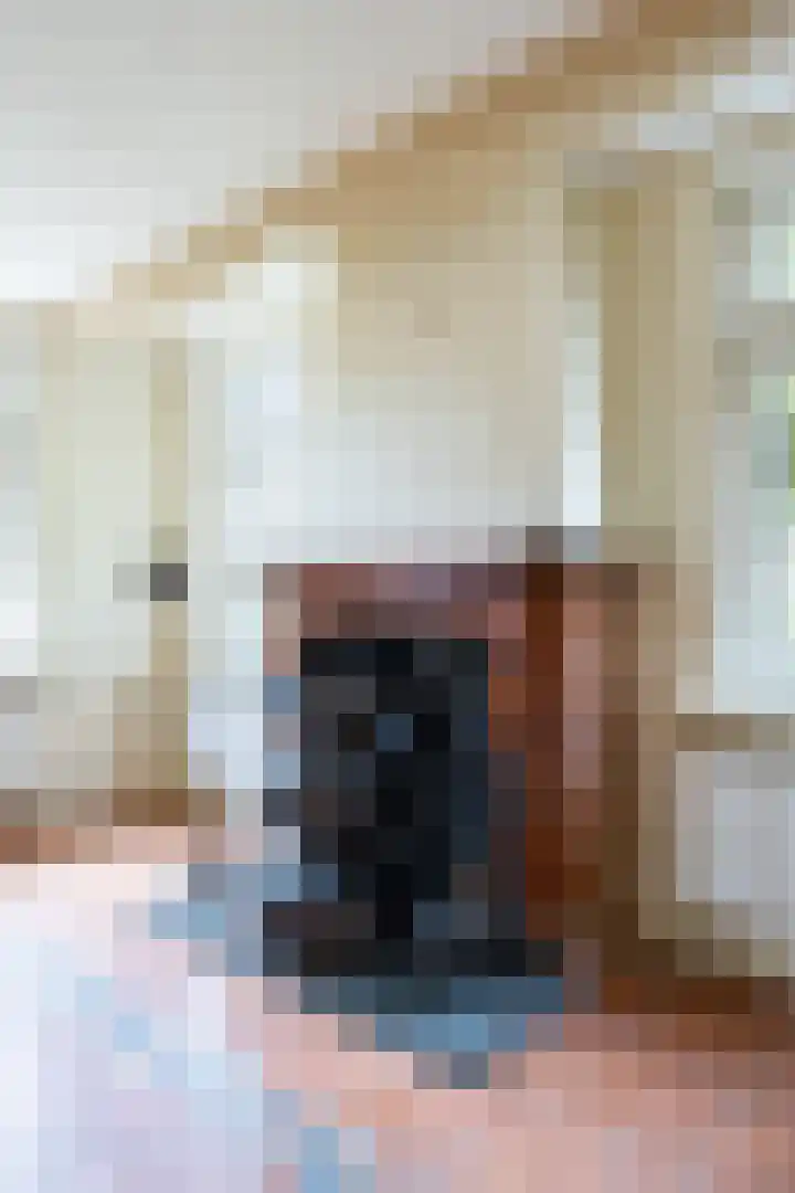 Bakkersstraat 7 Bierum thumbnail 11