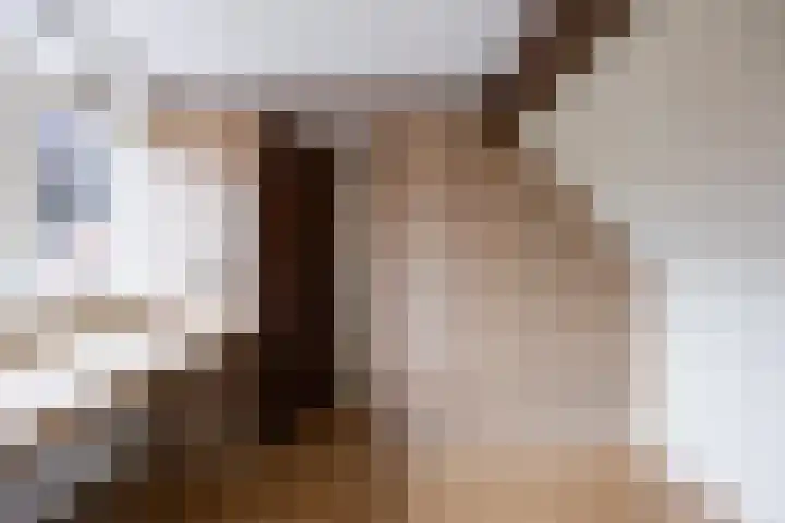 Bakkersstraat 7 Bierum thumbnail 30