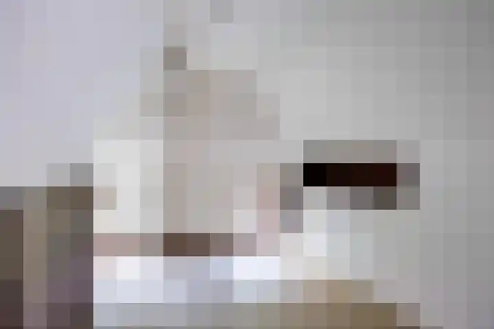 Bakkersstraat 7 Bierum thumbnail 34