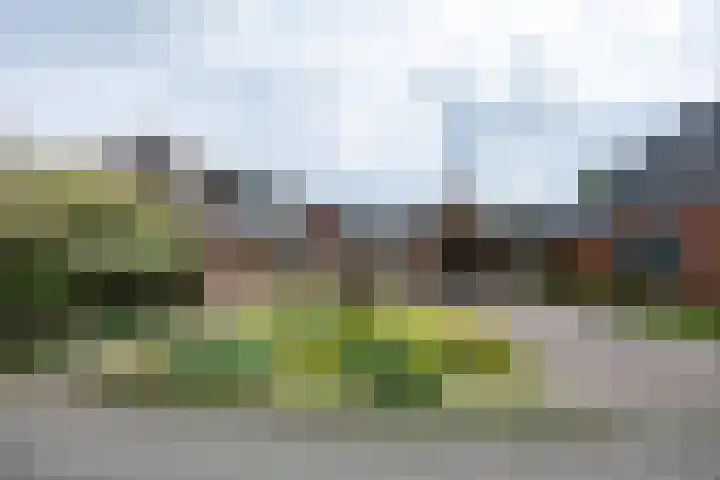 Bakkersstraat 7 Bierum thumbnail 4