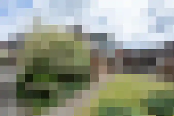 Bakkersstraat 7 Bierum thumbnail 5