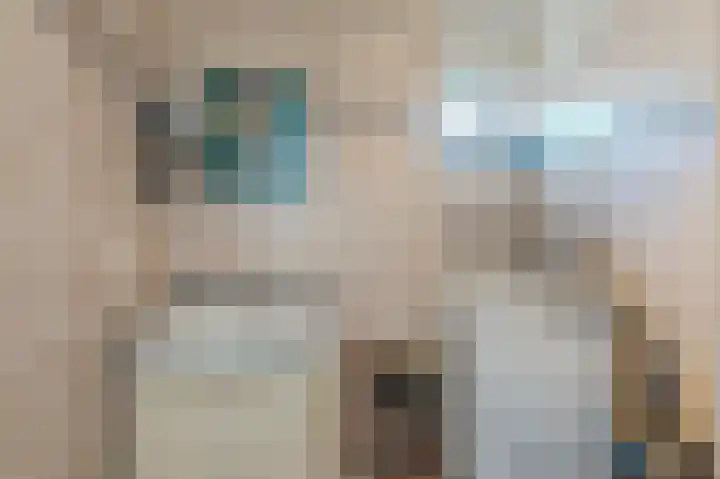 Bakkersteeg 1 Voorschoten thumbnail 31