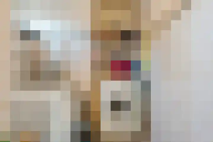 Bakkersteeg 1 Voorschoten thumbnail 32