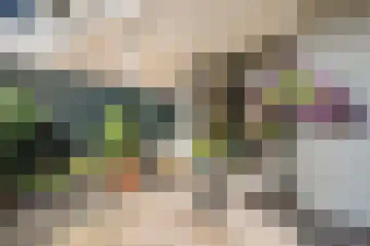 Bakkersteeg 1 Voorschoten thumbnail 35