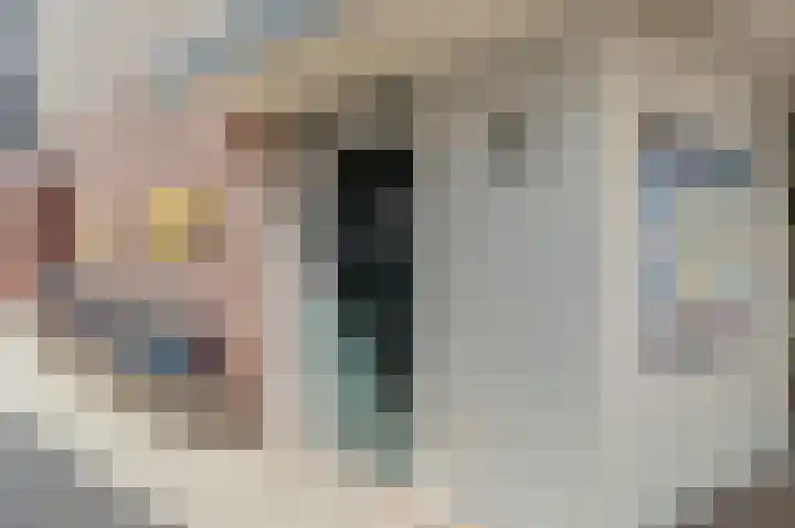 Bakkersteeg 1 Voorschoten thumbnail 4