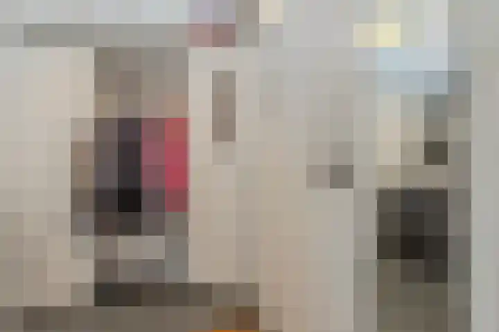 Bakkersteeg 1 Voorschoten thumbnail 5