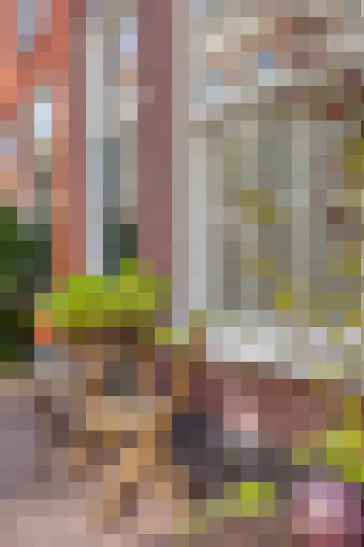 Bakkersteeg 18 Leiden thumbnail 5