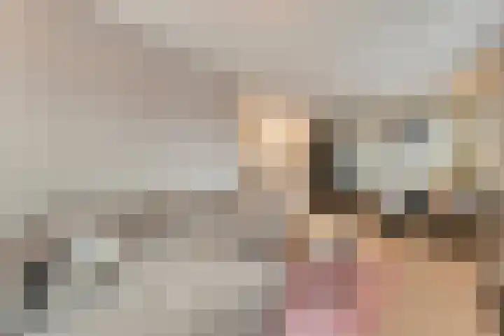 Bakkersteeg 35 Coevorden thumbnail 23