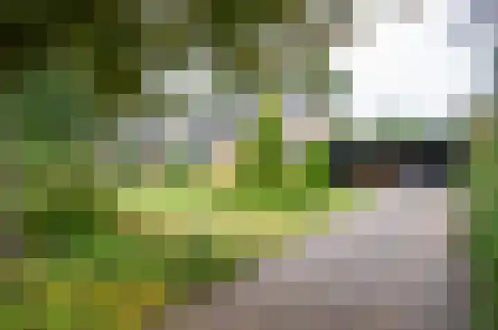 Bakkersteeg 7 in Almen