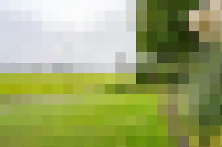 Bakkersteeg 7 Almen thumbnail 12