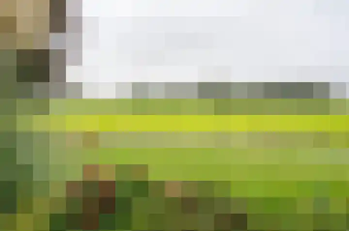 Bakkersteeg 7 Almen thumbnail 14
