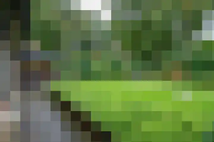 Bakkersteeg 7 Almen thumbnail 42