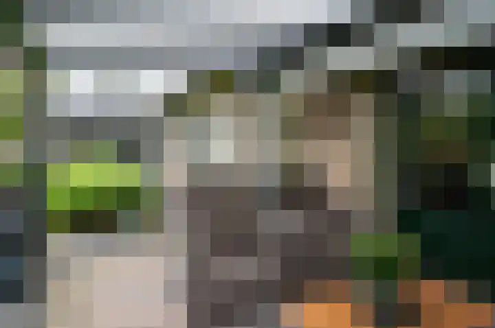 Bakkersteeg 7 Almen thumbnail 43