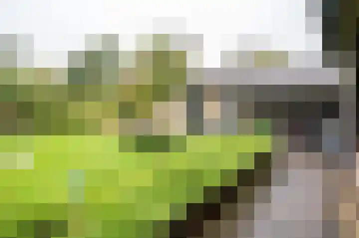 Bakkersteeg 7 Almen thumbnail 44