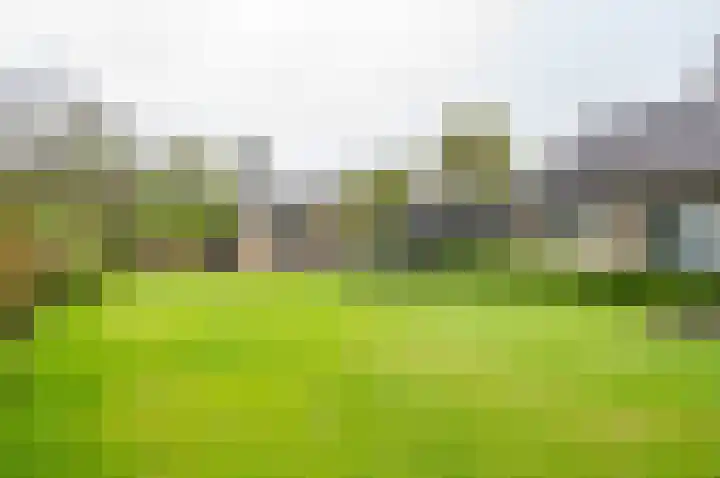Bakkersteeg 7 Almen thumbnail 47