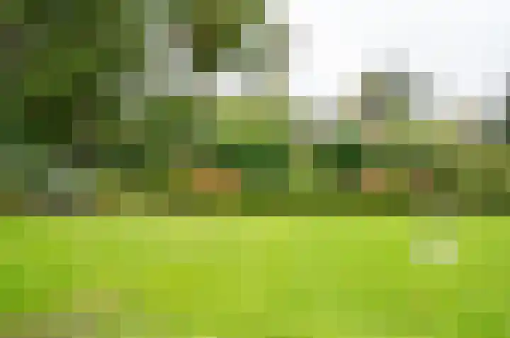 Bakkersteeg 7 Almen thumbnail 48