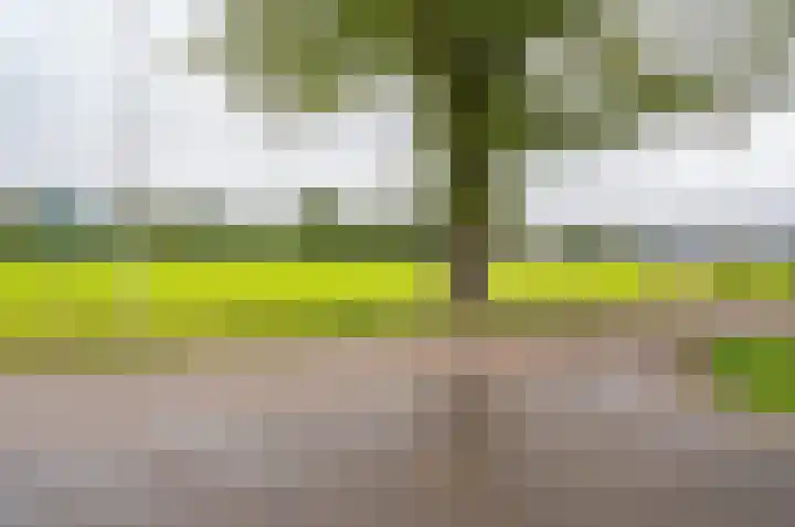 Bakkersteeg 7 Almen thumbnail 50