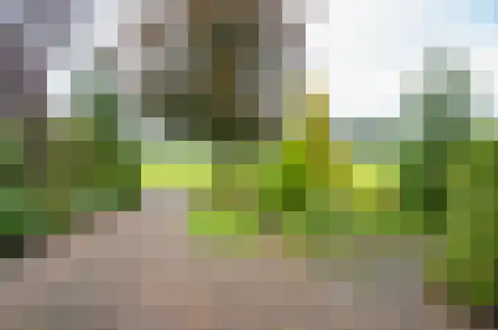 Bakkersteeg 7 Almen thumbnail 8