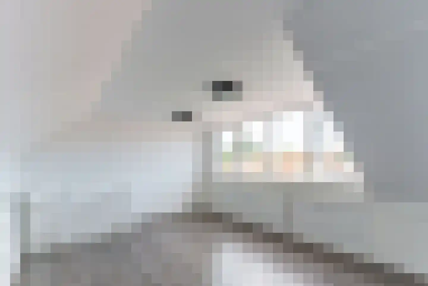 Bakkerstraat 103 Hilversum thumbnail 21