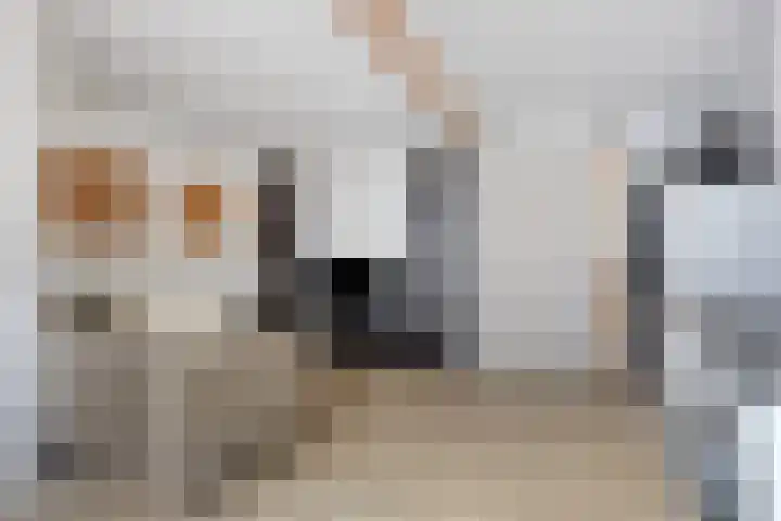 Bakkerstraat 115 Hilversum thumbnail 29