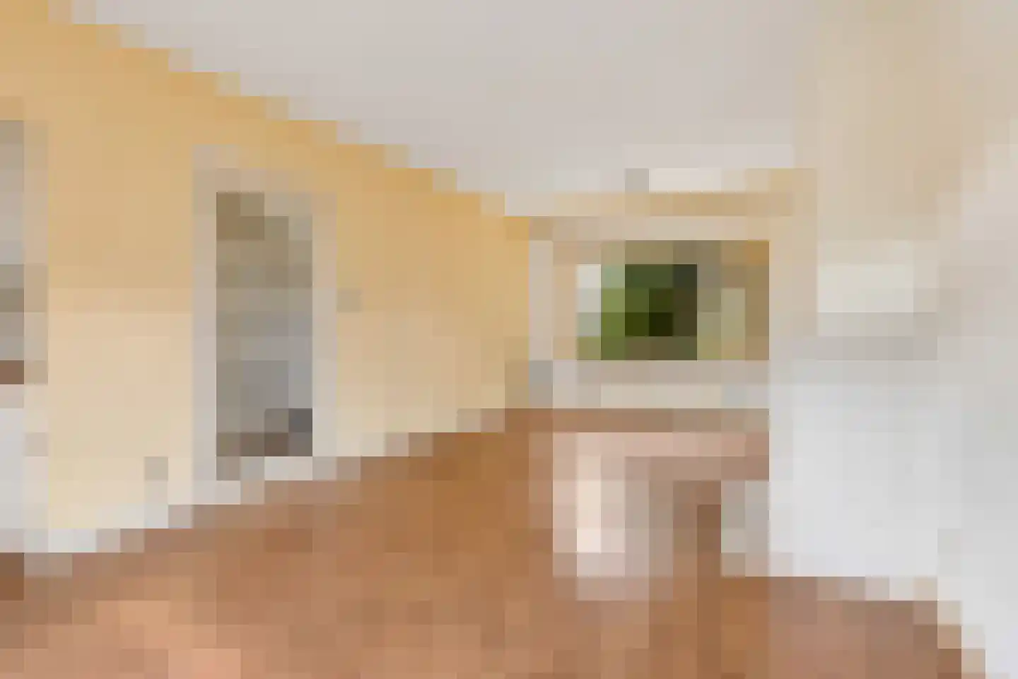 Bakkerstraat 120 Hilversum thumbnail 4