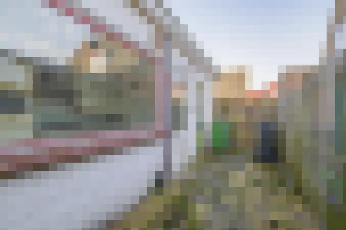 Bakkerstraat 127 Hilversum thumbnail 24