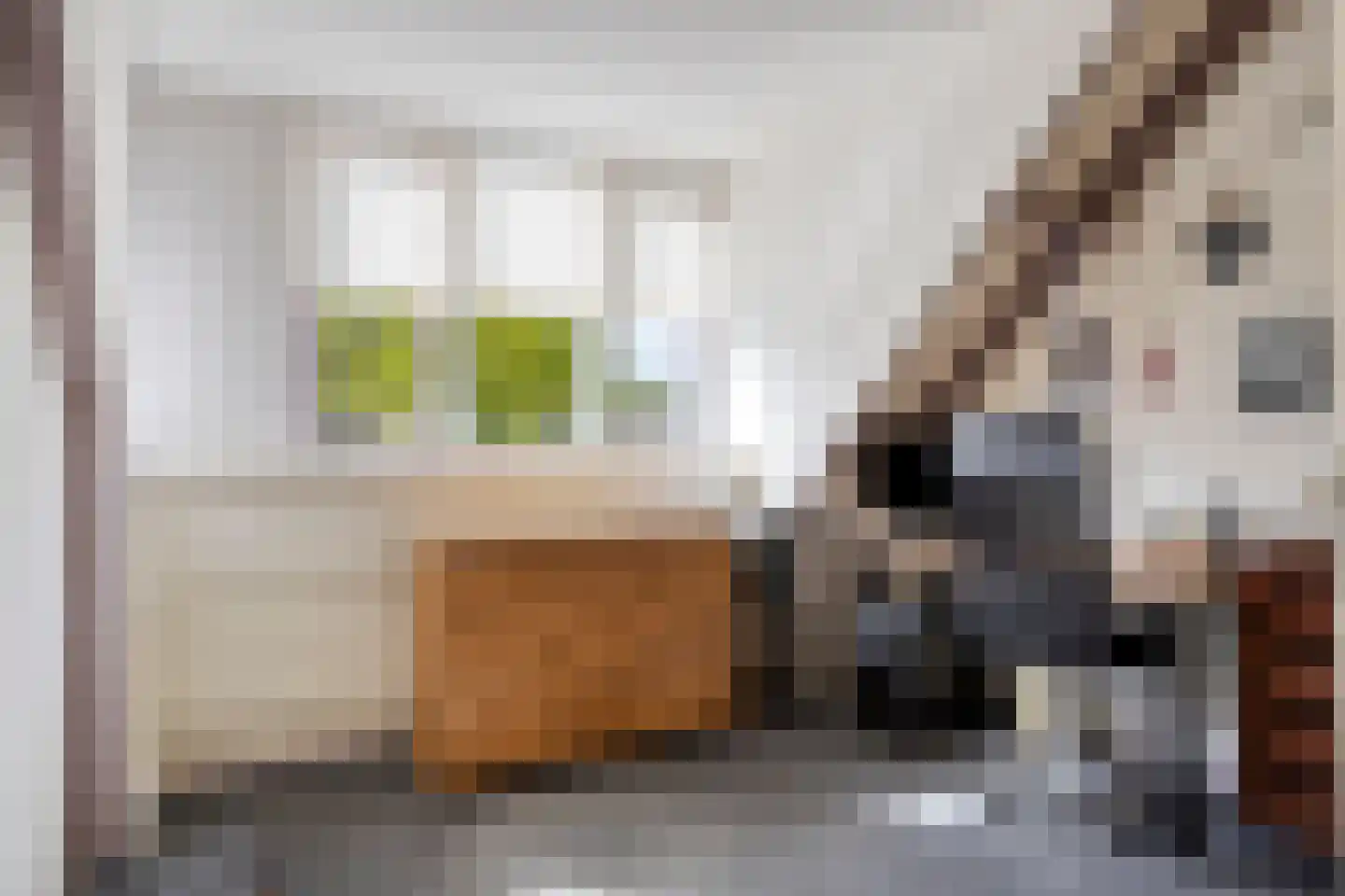 Bakkerstraat 136 Alkmaar thumbnail 30
