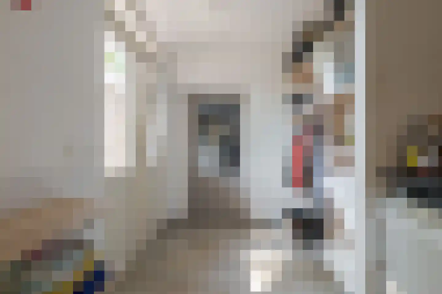 Bakkerstraat 15 Roden thumbnail 28