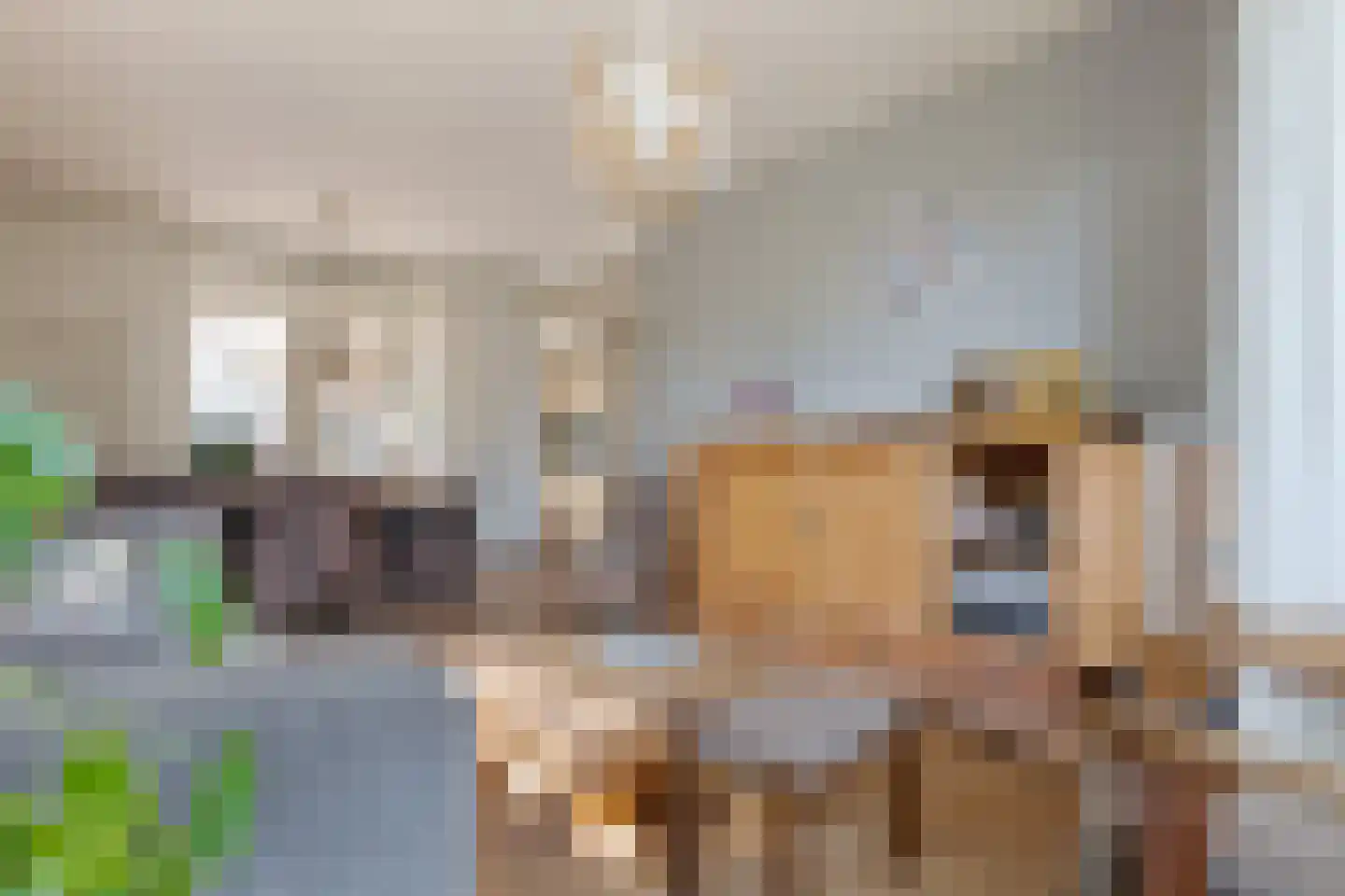 Bakkerstraat 15 Roden thumbnail 4